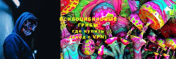 ГАЛЛЮЦИНОГЕННЫЕ ГРИБЫ Алексеевка