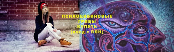 PSILOCYBIN Алзамай